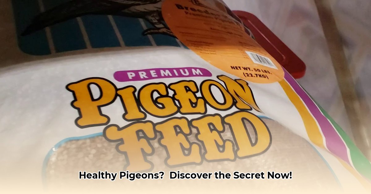 pigeon-feed-tractor-supply